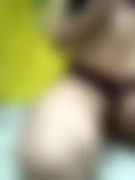 abyusif101099's Live Sex Cam Show