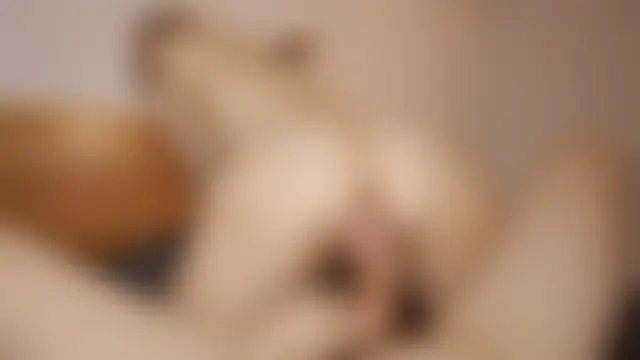 foxeslovefoxes' Webcam Show