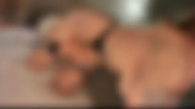 JuicyTV's Live Sex Cam Show