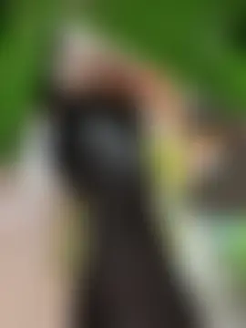 Miia_Jazmin's Webcam Show