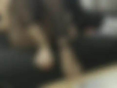 irinaaaa___cremaaa Pertunjukan Kamera Seks Langsung