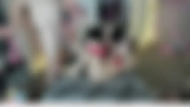 domanddollxx's Webcam Show