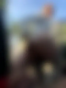 Nicoleevien's Live Sex Cam Show