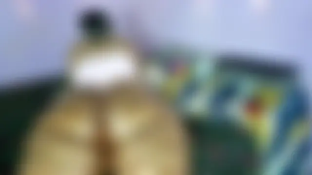 wilmaassylum's Webcam Show