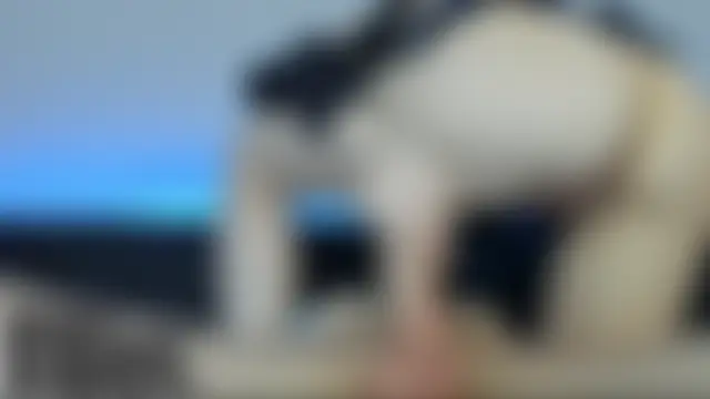 FreakyFunkyNasty's Live Sex Cam Show