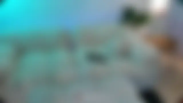 ColibriBlack's Webcam Show