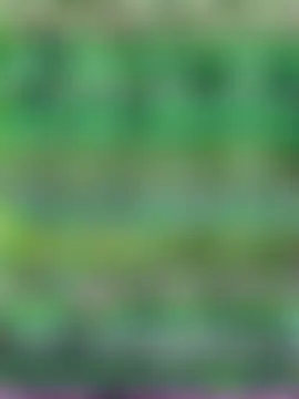 madamlillyrose's Live Sex Cam Show