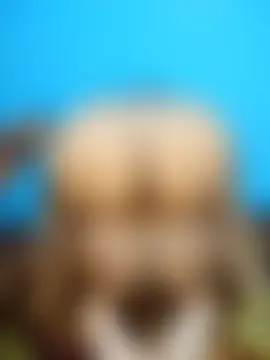 Sexy_dolls' Webcam Show