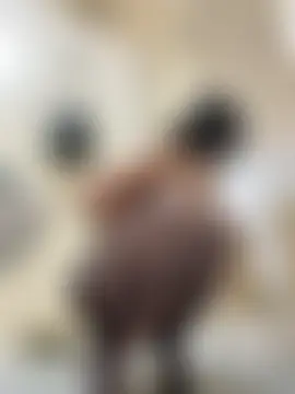 xiao-Lin's Webcam Show