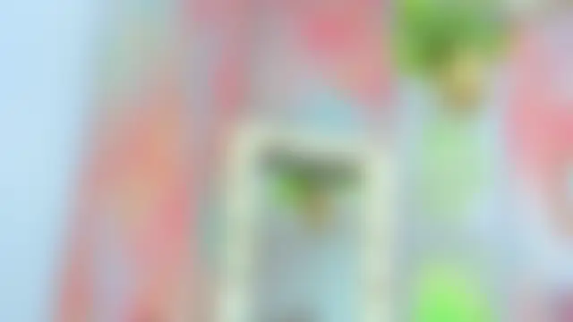 Idiris_big 网络视讯表演