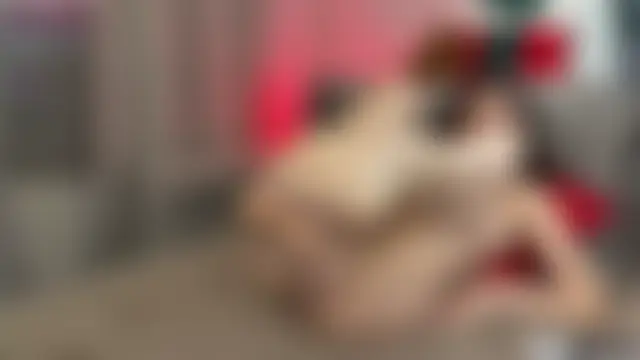 Exeltis' Webcam Show