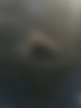 Honor_Daddy's Webcam Show