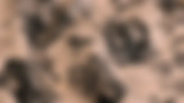 Paige_Turner's Webcam Show