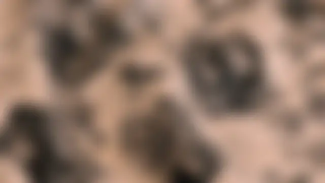 Paige_Turner's Webcam Show