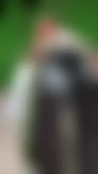 Angie_e's Webcam Show