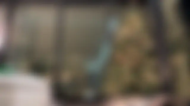 Graciemae_baexx's Webcam Show