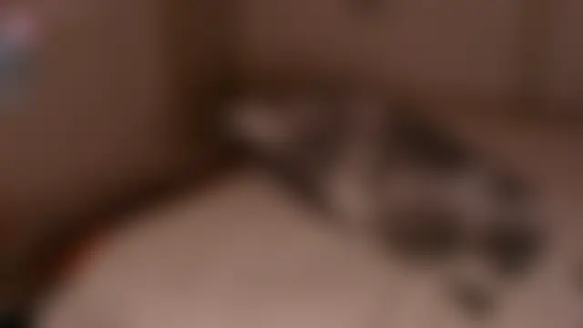 MrsJess' Webcam Show