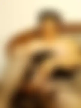 CALDA-AKIRA's Live Sex Cam Show