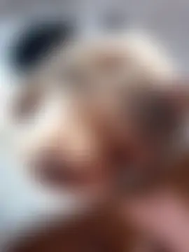 Evamendez02's Webcam Show