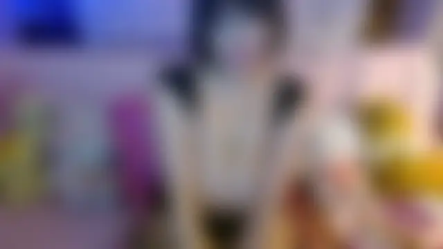 nomichuu's Webcam Show