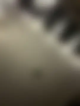 MrMrsfineasscouple's Webcam Show