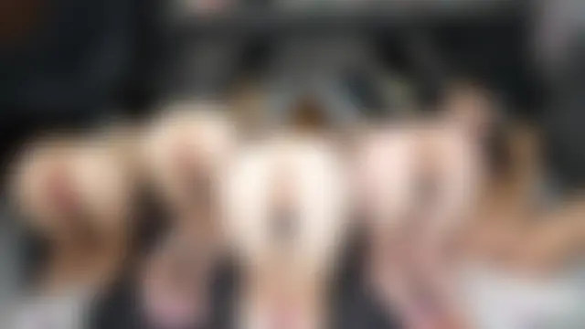 Rakses2's Webcam Show