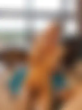 MissLMrJ's Webcam Show