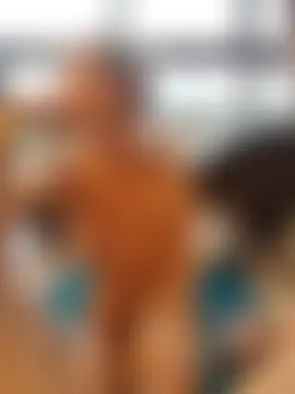 MissLMrJ's Webcam Show