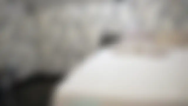 DiamondAnna's Webcam Show