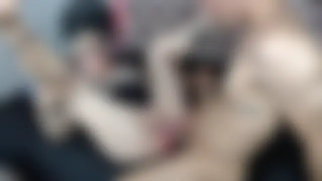 Sexytaty2022's Live Sex Cam Show