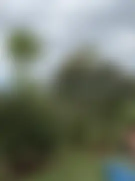 Rose-andres' Webcam Show