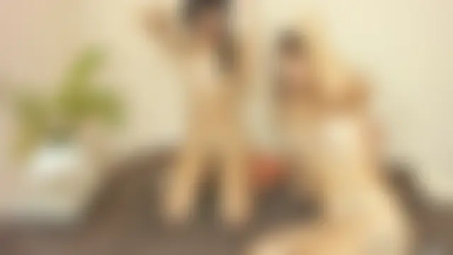 thegirls_girls' Webcam Show