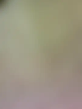 bambi_lu's Webcam Show