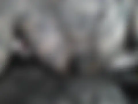 object857's Live Sex Cam Show