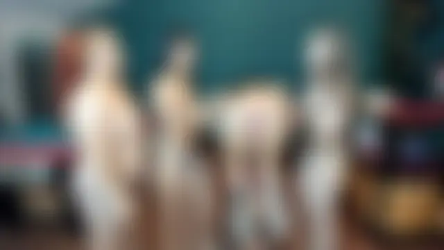 theorder-ofladys' Live Sex Cam Show