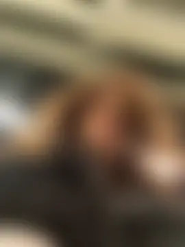 South_Carolina's Webcam Show