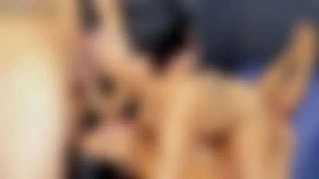 Ruin_Destruction's Webcam Show