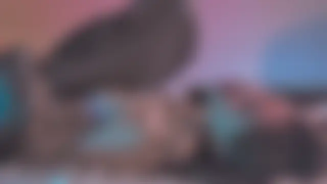 Amanda_River's Live Sex Cam Show