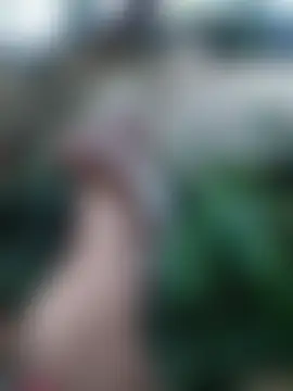 chaparritahot99's Webcam Show