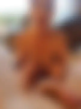 MissLMrJ's Live Sex Cam Show