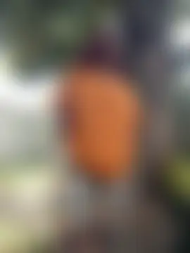 Broan_me's Webcam Show