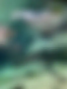 Ninabigtitied's Webcam Show