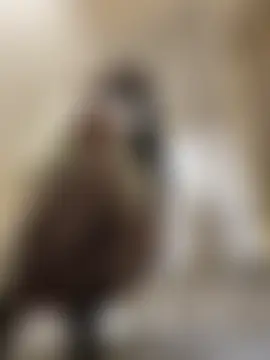 xiao-Lin's Webcam Show