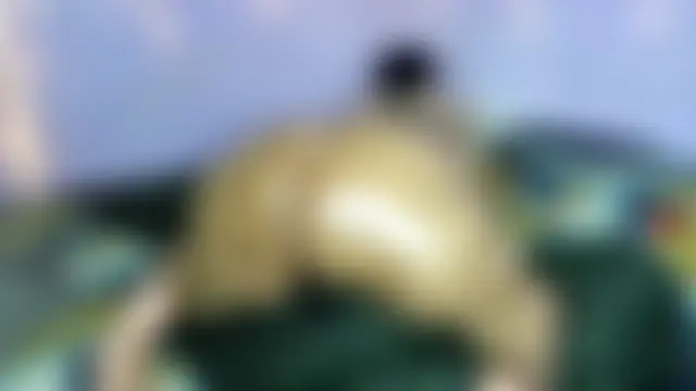 wilmaassylum's Webcam Show