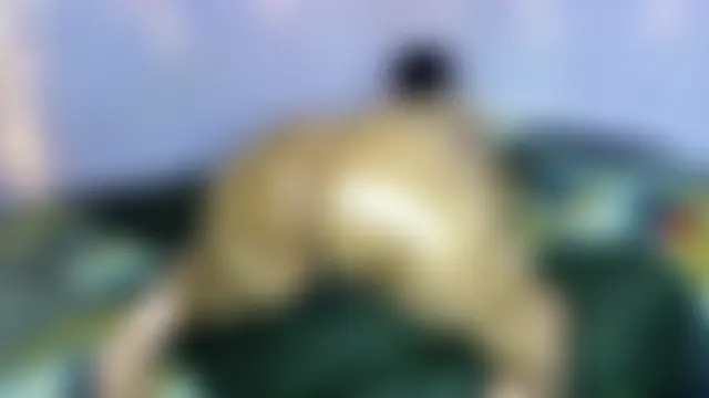 wilmaassylum's Webcam Show