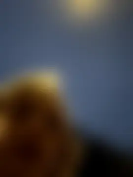 blairbella's Live Sex Cam Show