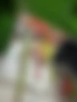 Miia_Jazmin's Webcam Show