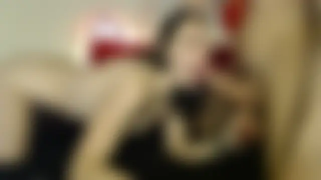 AbbyDickinson96's Live Sex Cam Show