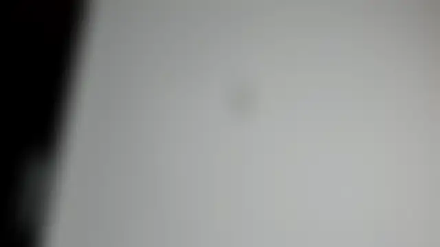 _madisonfoxxx2's Webcam Show