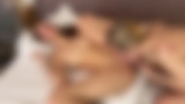 PlayUsSoftly's Webcam Show